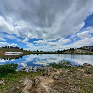 Meet your Posher, Bertha